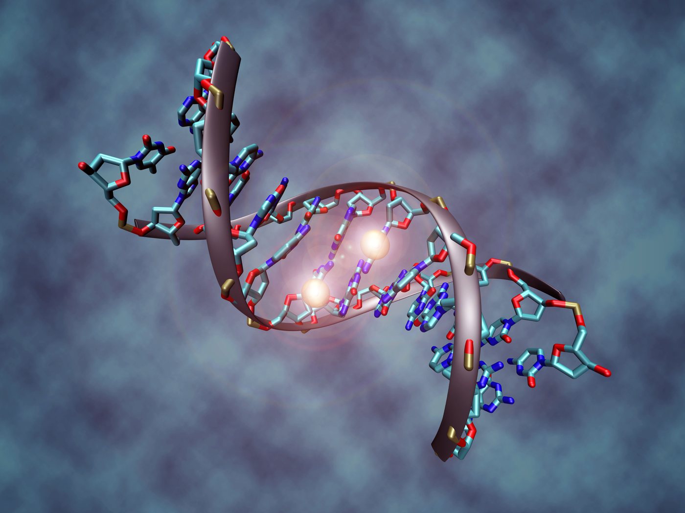 DNA二重らせんの分子モデル(DNAメチル化の3Dレンダリング)